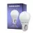 Noxion Lucent Lustre LED E27 Boule Dépolie 2.5W 250lm - 827 Blanc Très Chaud | Équivalent 25W