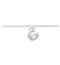 SLV Spot Sur Rail Kalu Rail Monophasé Aluminium Blanc 13W 970lm 95D - 830 Blanc Chaud | Dimmable 